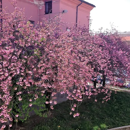 Casa Agnese לינה וארוחת בוקר