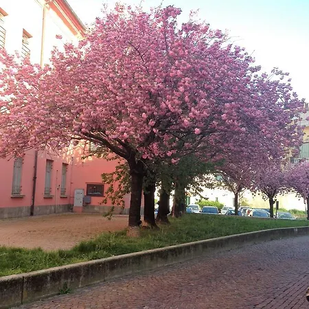 Casa Agnese Couette-café Alba (Piedmont)