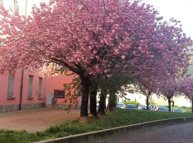 Casa Agnese Bed & Breakfast Alba (Piedmont)