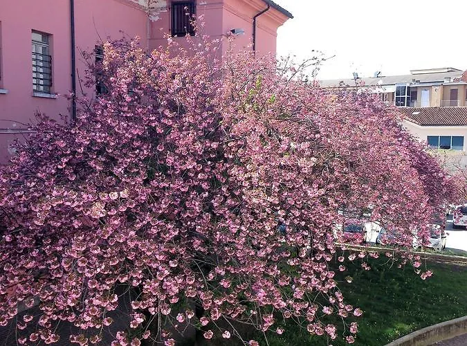 Bed & Breakfast Casa Agnese